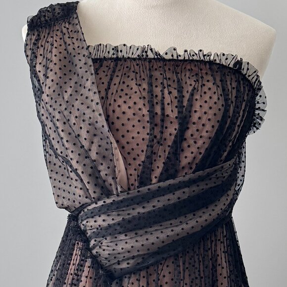 NWT Anthropologie Tulle Dot Maxi Dress - Picture 16 of 16